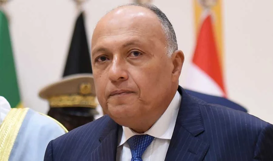 Egypt's Minister of Foreign Affairs Sameh Shoukry. (AFP)