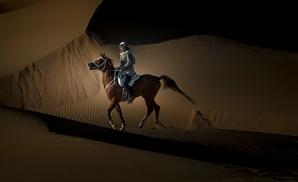 Saudi woman photographer snaps up major honor