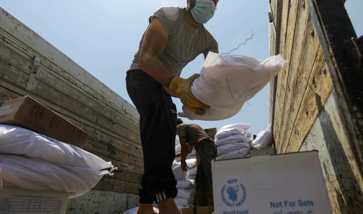 A worker unloads bags and boxes of humanitarian aid from the back of a truck in the opposition-held Idlib, Syria. (Reuters/File)