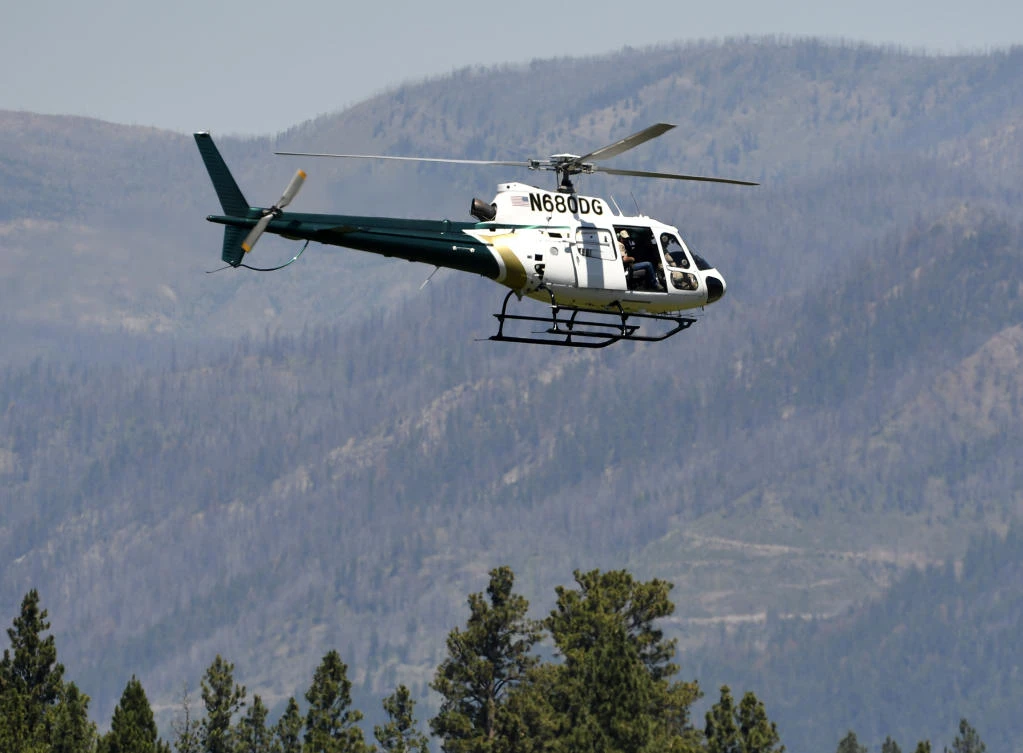 Bear pulls woman out of her tent, kills her in Montana