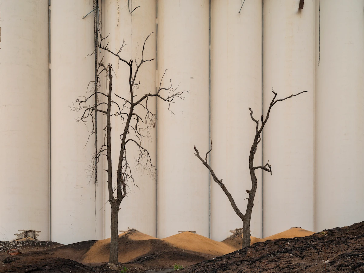THE BREAKDOWN- Lebanese photographer Dia Mrad discusses ‘Trees of Apocalypse’