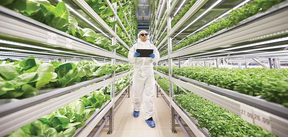 Dubai to set up vertical farm for sustainable produce