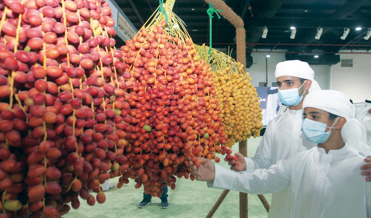 This year’s festival includes 23 stands for displaying various types of dates.