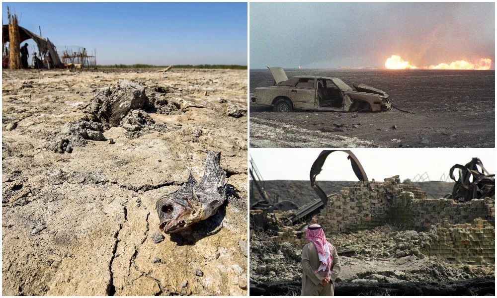 Why ecosystem restoration should be high on Arab region’s agenda