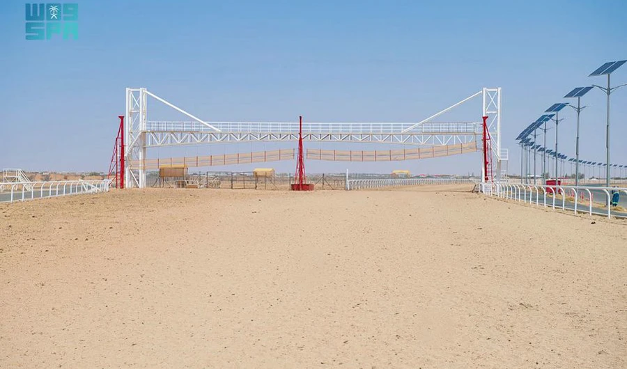 Tracks ready for camel race in Taif