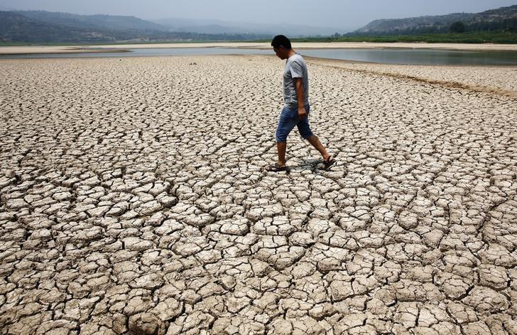 A man walks through the dried-up bed of a reservoir in Sanyuan county, Shaanxi province, July 30, 2014. (Reuters)
