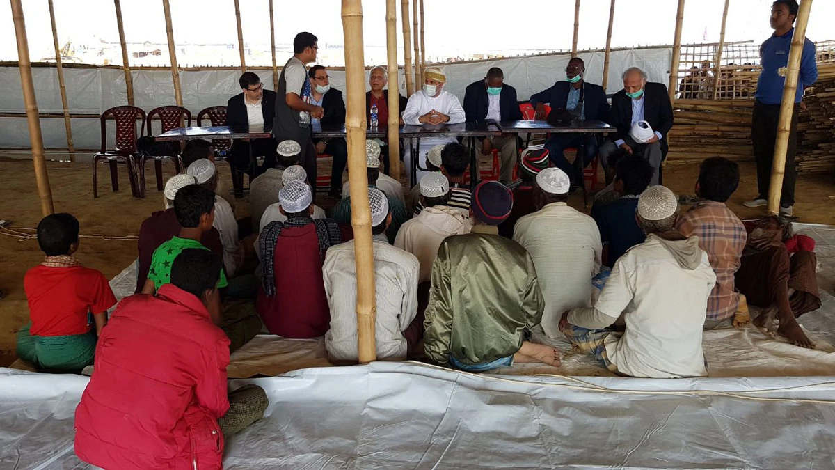 Islamic principles should form basis of tackling global  post-pandemic human rights crises: OIC commission
