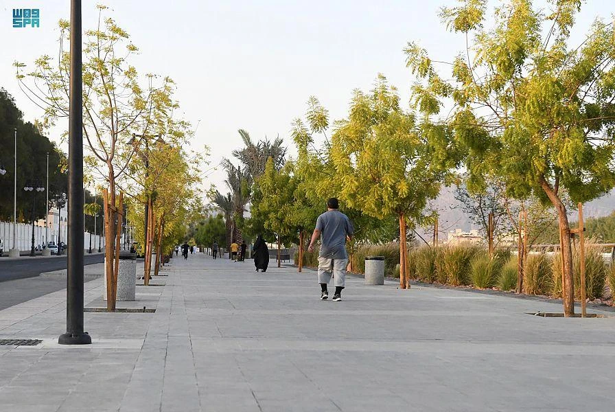 Saudi Arabia announced 9 deaths from COVID-19 and 850 new infections on Saturday. (File/SPA)