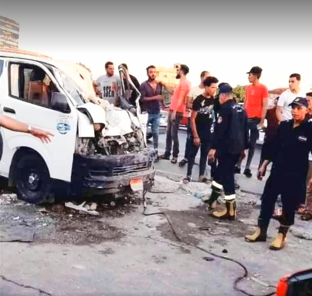 Cobra in a minibus kills family of 4 and driver in Egypt