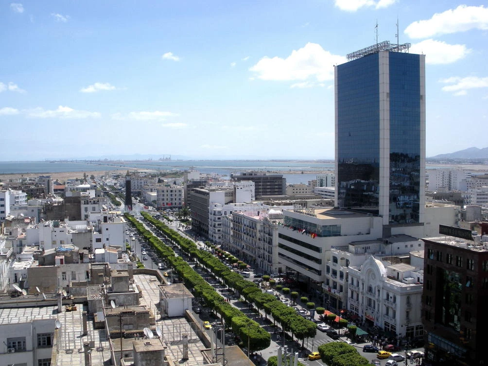 Tunis’ Avenue Habib Bourguiba looking north toward the port of Tunis (La Goulette) and the Mediterranean Sea. (File/Internet)