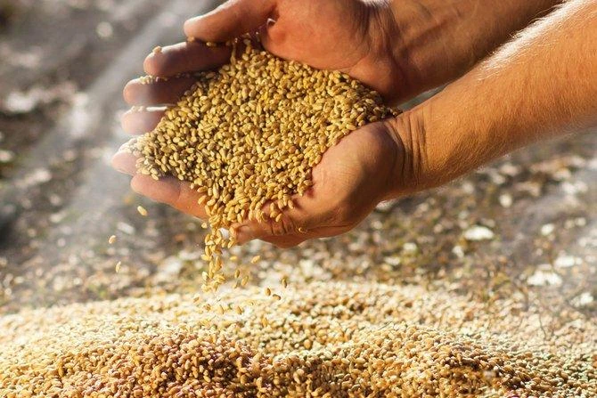 Saudi Grains Organization signs $106.3m Dhiba concrete silos project