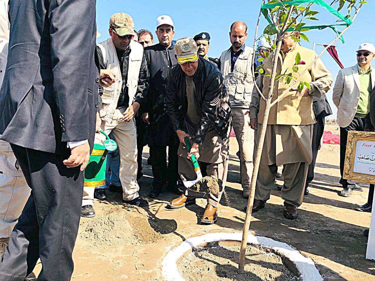 In the climate change battle, Pakistan is an inspiration to world
