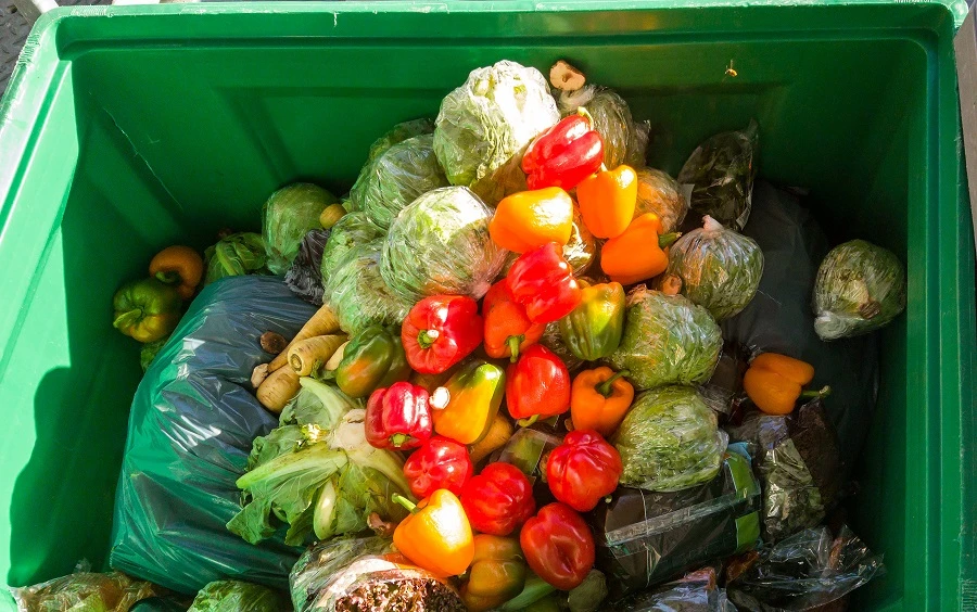 SAGO earlier signed a contract with a local company to promote the reduction of food waste, in line with national transformation initiatives. (Shutterstock)