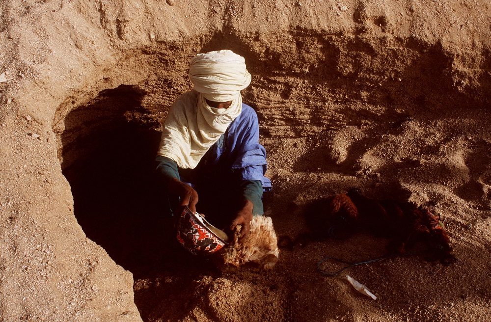 Tuaregs