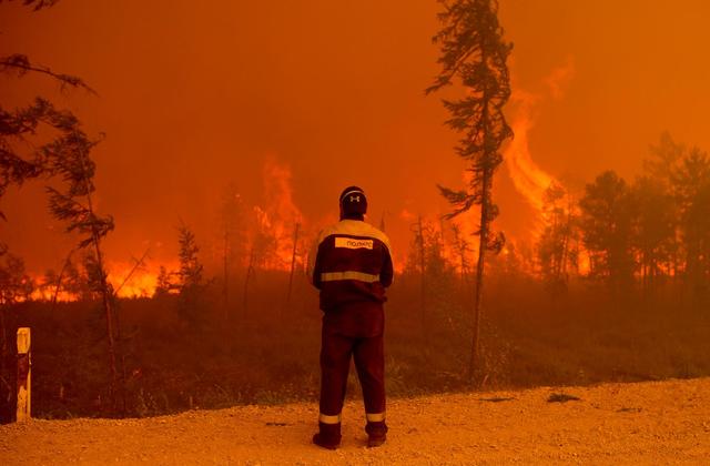 Local residents evacuate, along with their livestock, in the face of wildfires, Thrakomakedones, north of Athens, Greece, August 7, 2021. (Reuters)