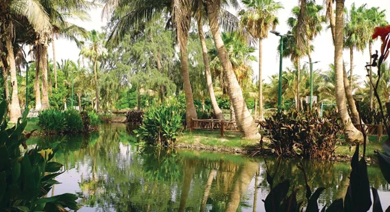 Lake Park