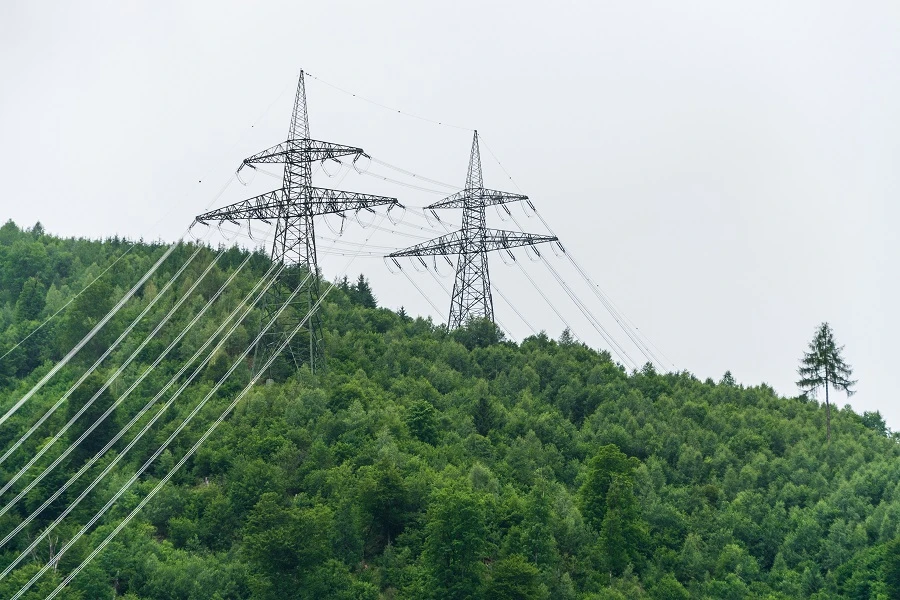 The jump in prices was principally driven by a “historic rally across the European energy complex and a sluggish renewable generation.” (Shutterstock))