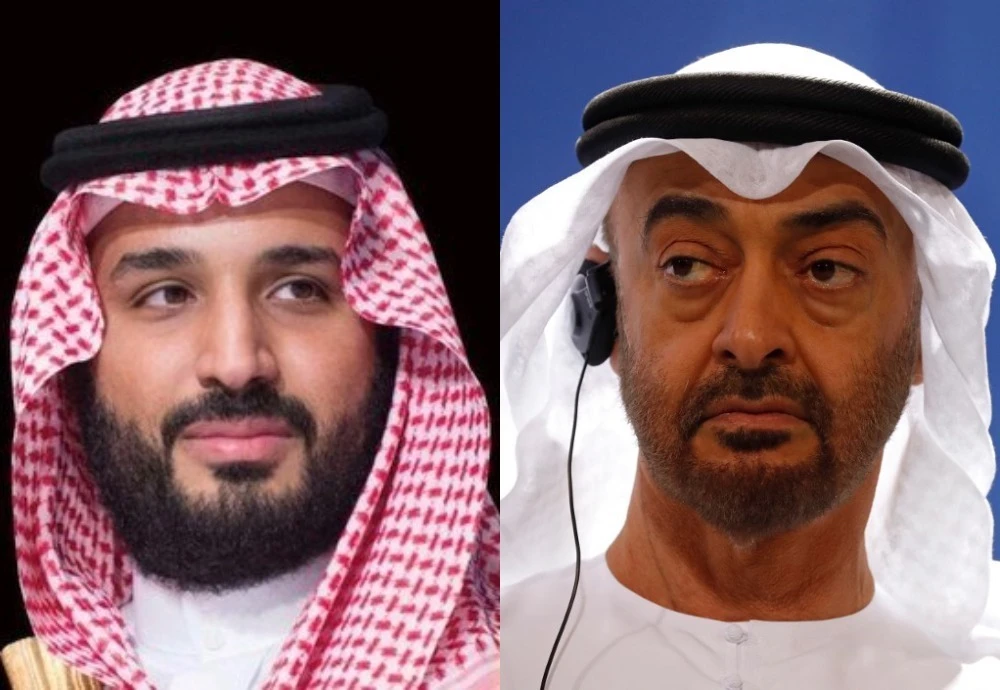 Saudi and Abu Dhabi crown princes discuss regional developments