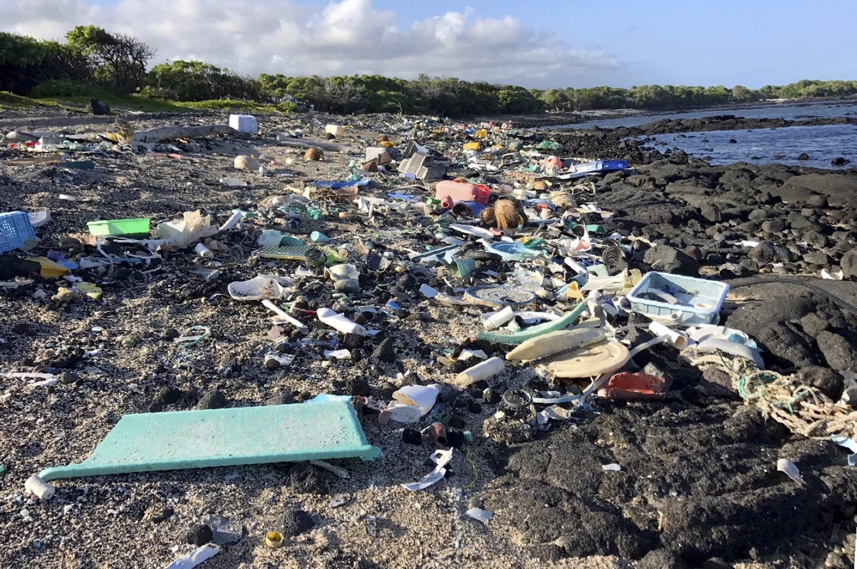 This photo provided by the Hawaii Wildlife Fund shows the beach at Kamilo Point in Naalehu, Hawaii, before a cleanup event, August 2018. (AP)
