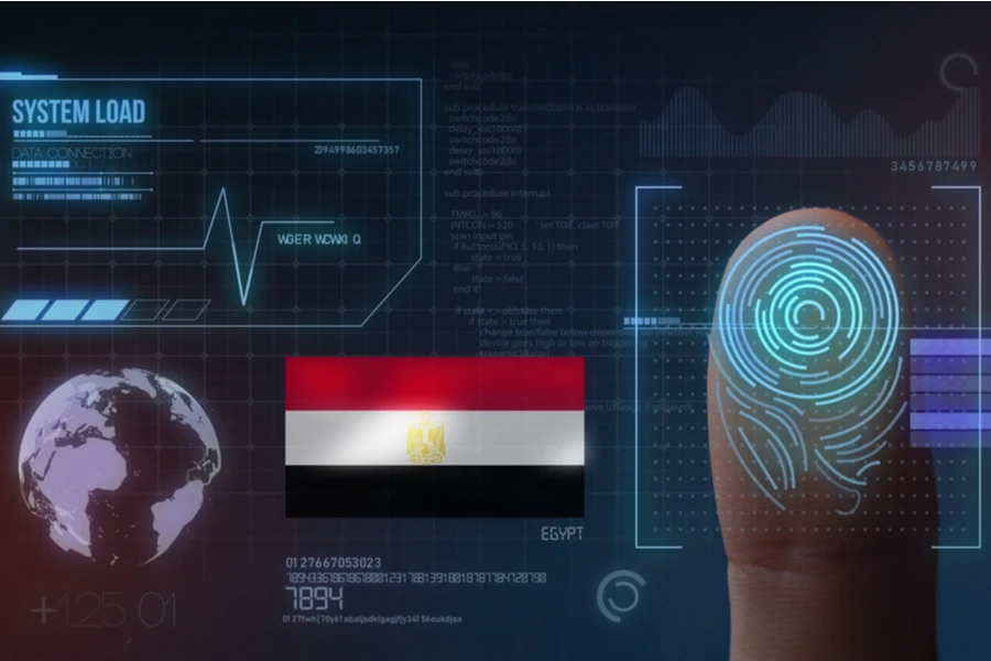 Egypt's MNT-Halan secures $120m investment as fintech fever grips nation
