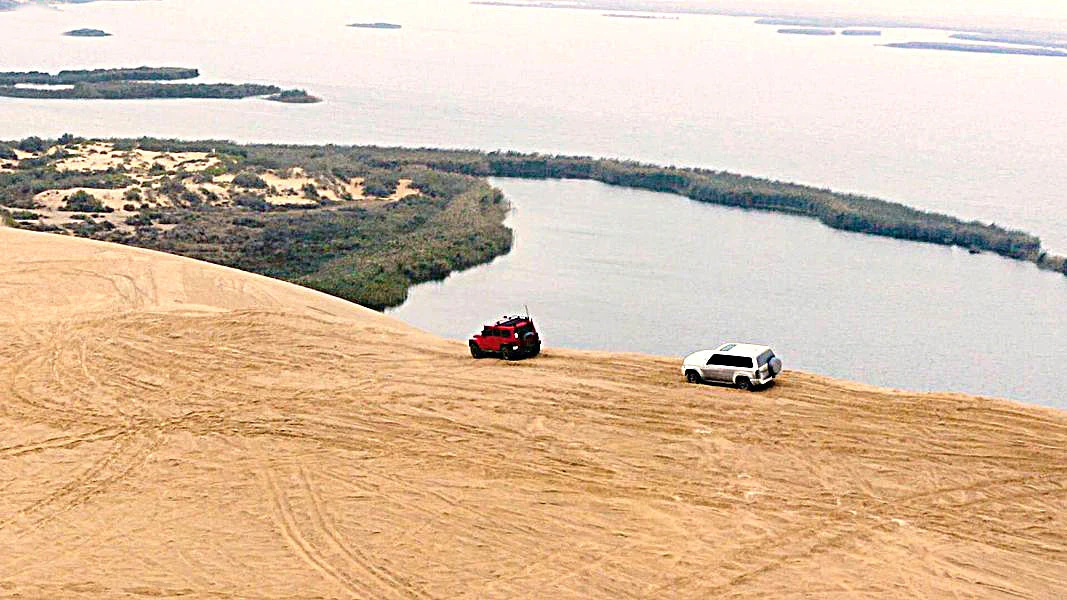 Al-Ahsa safari trips attract families, adventure lovers