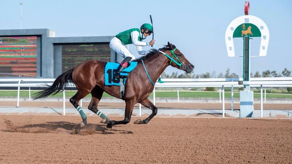 Saudi Arabia hosts new $266,667 race for three-year-old purebred Arabians
