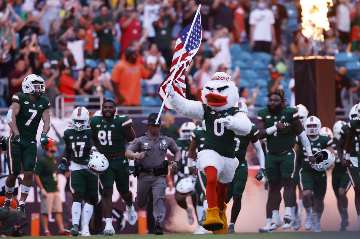 Lucky cat: US flag used to save falling feline at football game