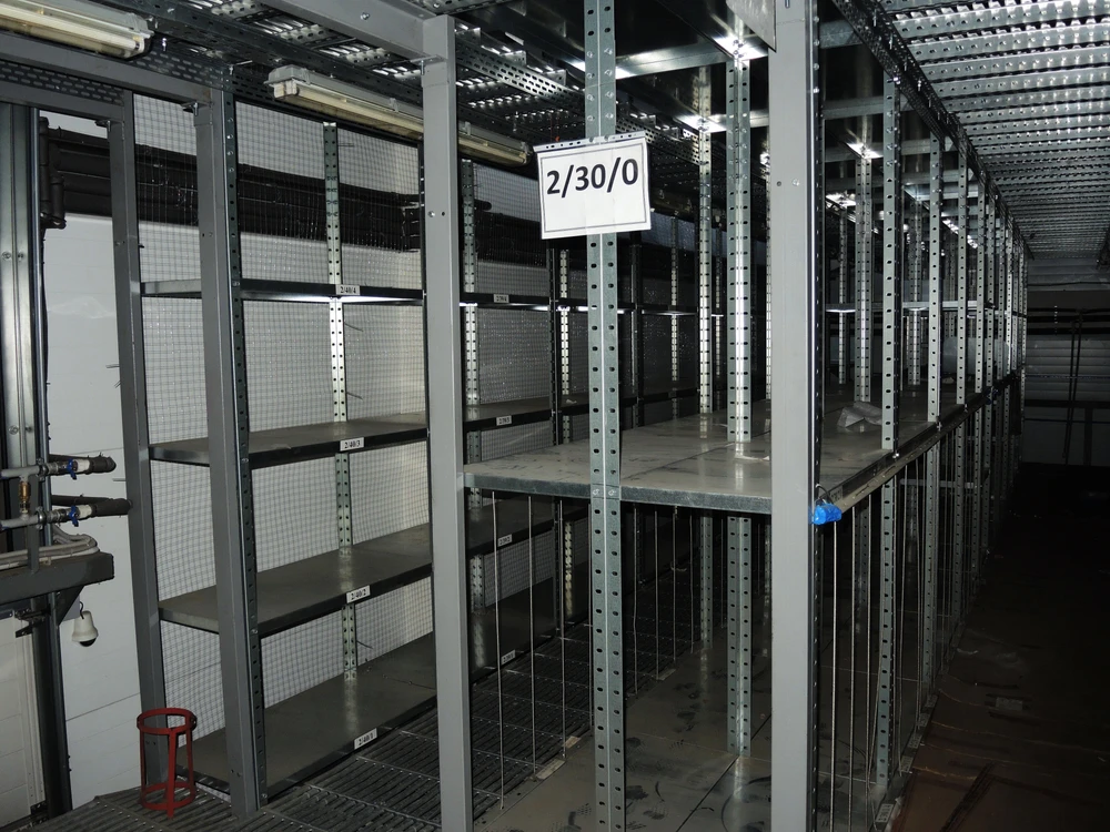 Pandemic fuelled 'abnormal' iron price rise, says Saudi metal shelves maker