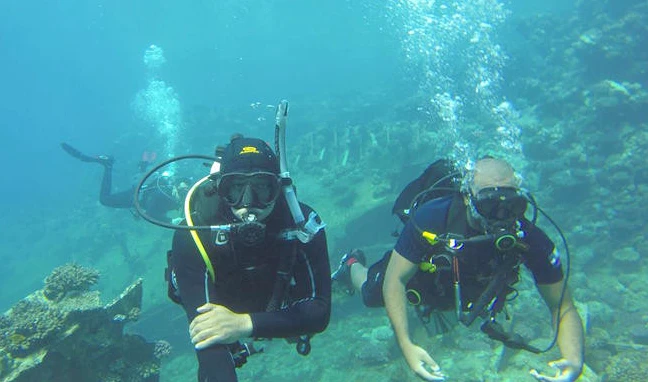 With its constant temperature and excellent visibility, the Red Sea is one of the world’s best spots for diving. (AN photos)