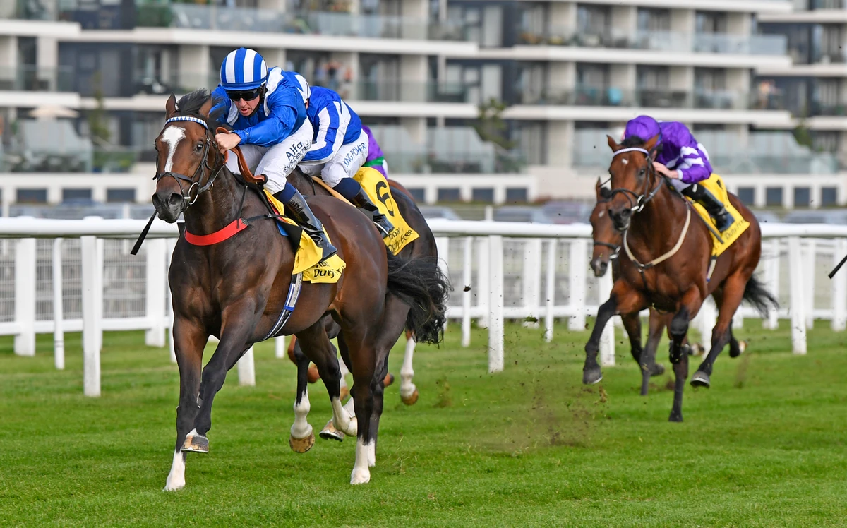 Alkumait winning the Dubai Duty Free Mill Reef Stakes last year. (Dubai Duty Free)