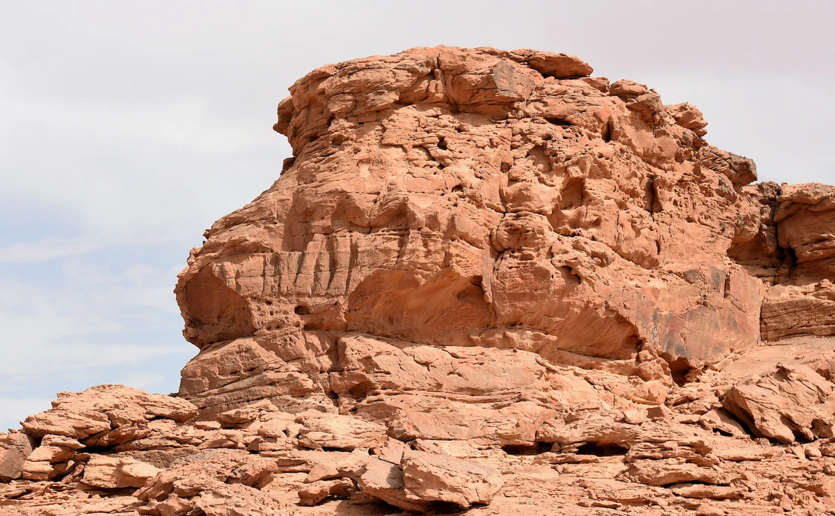 The researchers behind the new study believe that the life-size carvings of the camels are between 7,000-8,000 years old. (AFP)