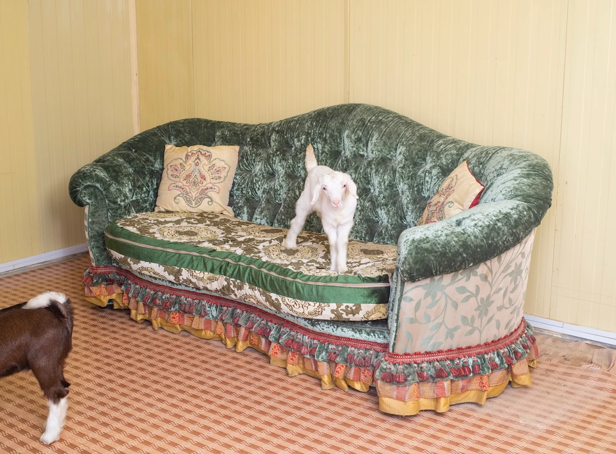 Highlights from Emirati artist Farah Al-Qasimi’s exhibit at the Contemporary Art Museum in St. Louis