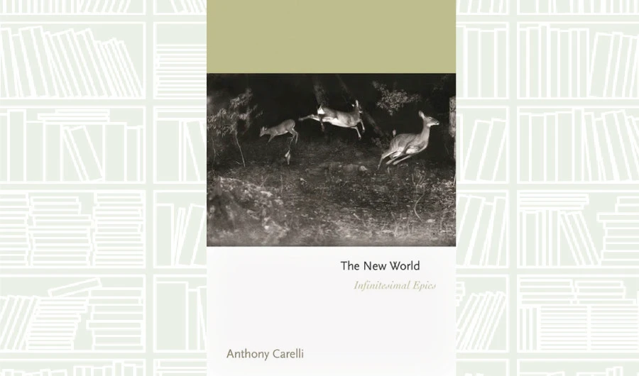 What We Are Reading Today: The New World: Infinitesimal Epics