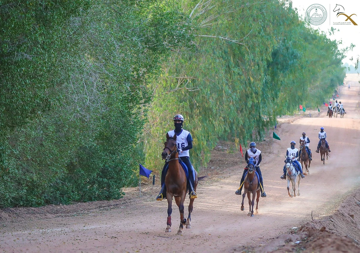 Hamoud bin Saleh Al-Badi is part of field at the Endurance World Championship for Junior Horses in Sardinia. (Saudi Equestrian Federation)