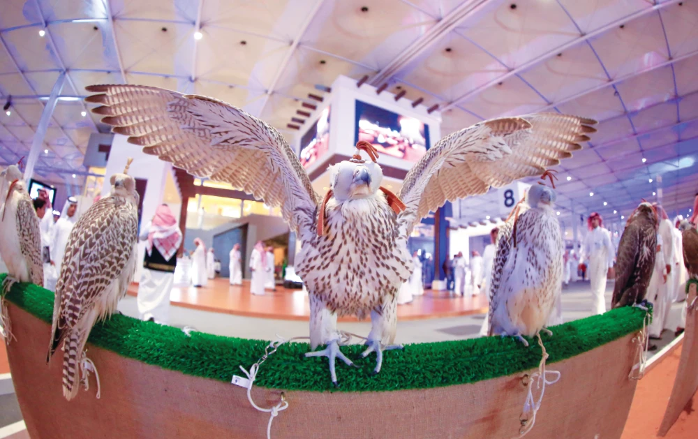 The 45-day event will see the sale of rare and distinctive falcons that have been hunted during their annual migration. (Shutterstock)