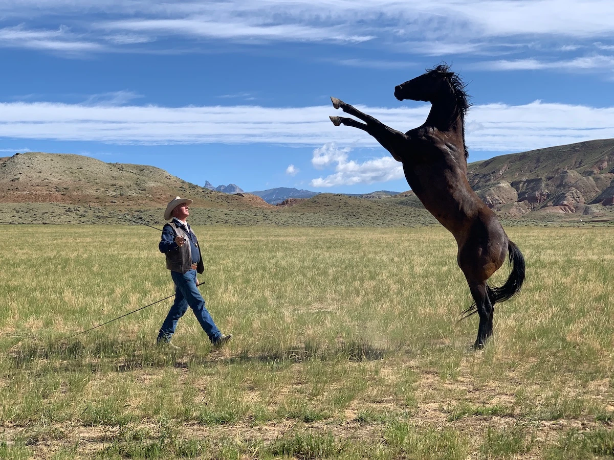 “My Heroes Were Cowboys” is on Netflix. (Supplied)