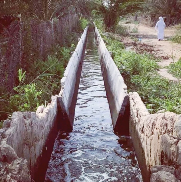 Al-Ahsa oasis’ riddle of the sands