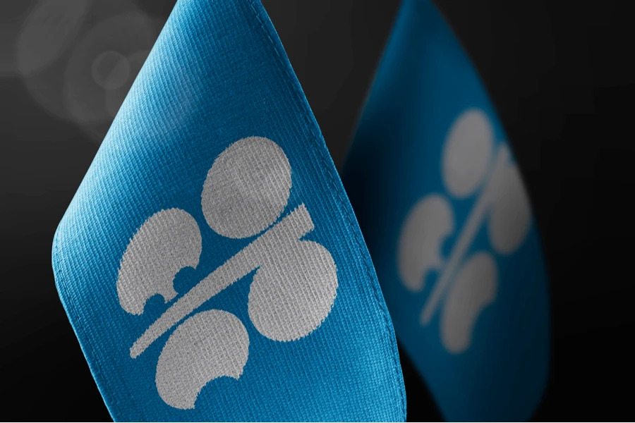 OPEC+ monitoring committee recommends sticking to existing oil output policy