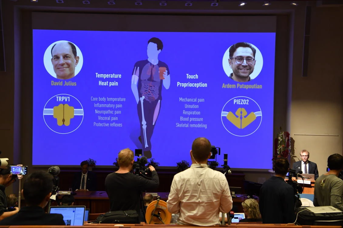 US duo win Nobel Medicine Prize for heat and touch work