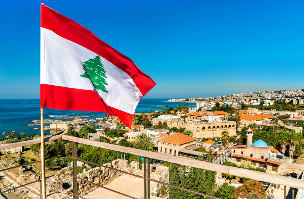Lebanon's assets subject to privatization: Minister of Economy