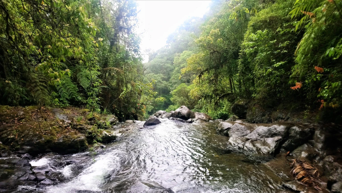 The Darién Gap is a break across the North and South American continents within Central America, consisting of a large watershed, forest and mountains. (Shutterstock)