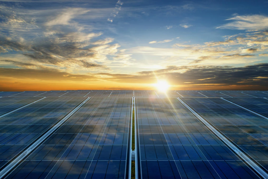 UAE first Gulf country to announce net zero strategy