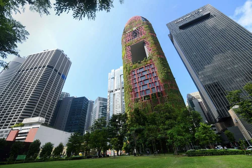 Green spaces have also been shown to improve health and wellbeing, including reducing stress, anxiety and depression, improving attention and focus, better physical health and managing Post Traumatic Stress Disorder. (AFP)