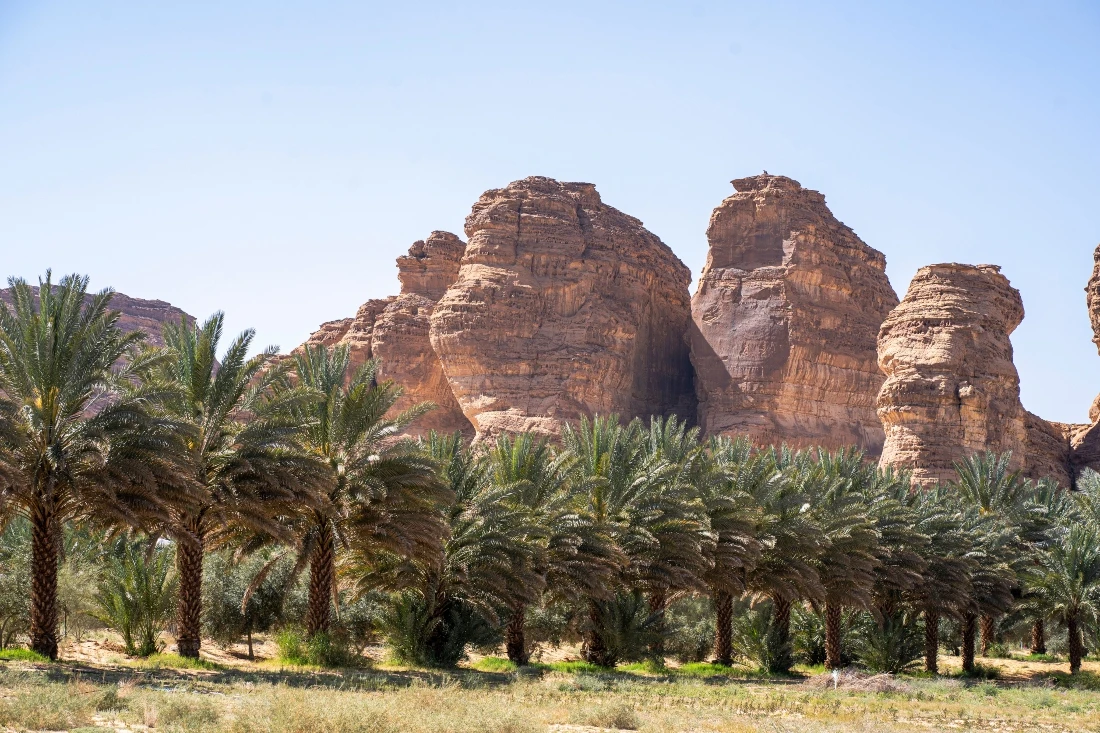 The men praised their countries’ successful cooperation in the field of environmental protection. (File/Shutterstock)