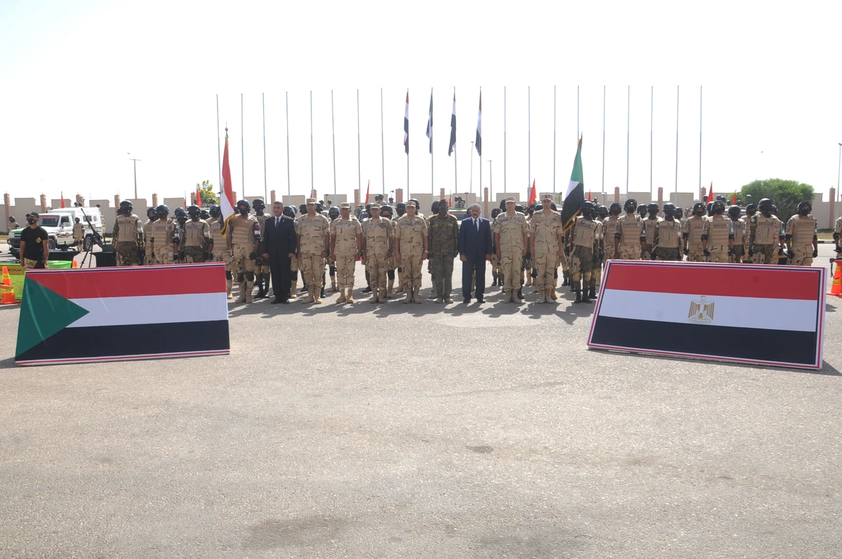 Egyptian, Sudanese armies launch first-of-their-kind joint exercises