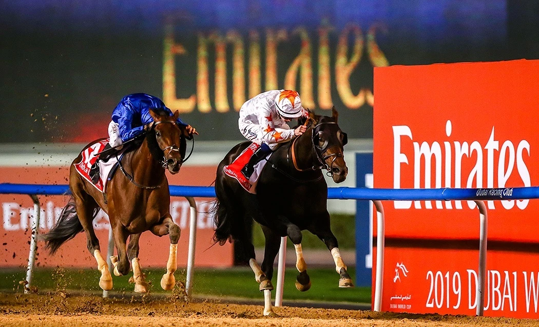 Horse racing season set to get underway at UAE’s 5 tracks