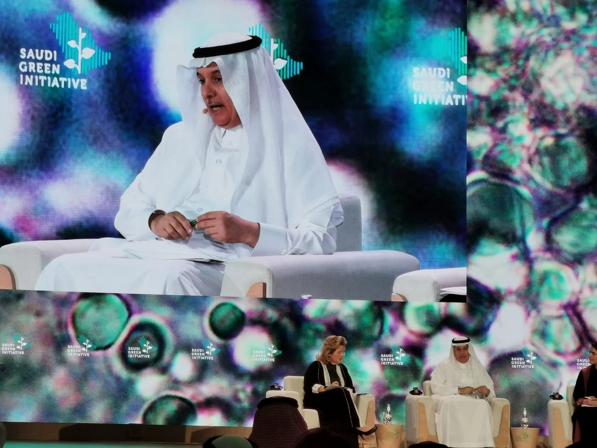 Saudi Arabia to tap private sector, NGOs for Saudi Green Initiative