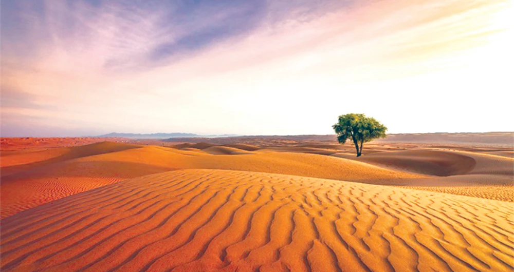 The white paper cites that the region realized up to a 69 percent compound annual growth rate in installed renewables capacity between 2015 and 2020.
