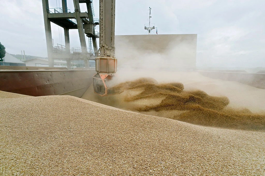 SAGO imports 1.27 million tons of wheat at $377.54 a ton