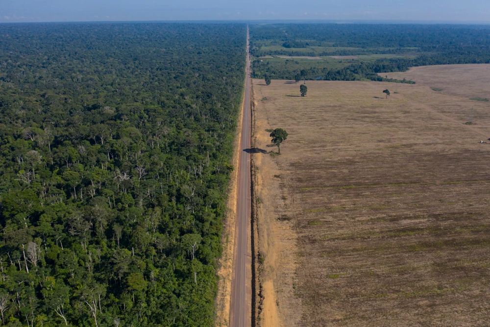 Leaders at global climate talks pledge to cut methane and save forests